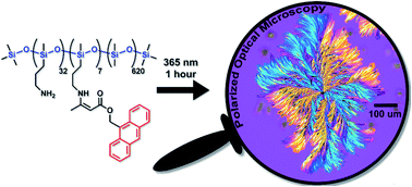 Graphical abstract: Room temperature crystallization of amorphous polysiloxane using photodimerization
