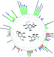 Graphical abstract: Tackling the chemical diversity of microbial nonulosonic acids – a universal large-scale survey approach