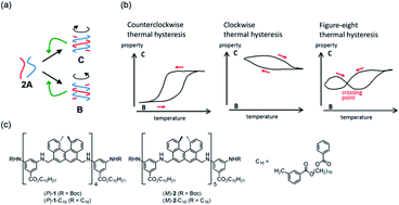 Graphical abstract: Figure-eight thermal hysteresis of aminomethylenehelicene oligomers with terminal C16 alkyl groups during hetero-double-helix formation