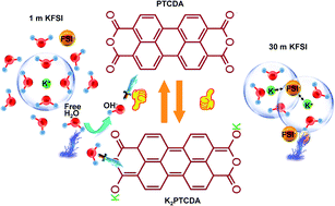 Graphical abstract: Use of a water-in-salt electrolyte to avoid organic material dissolution and enhance the kinetics of aqueous potassium ion batteries