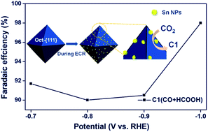 Graphical abstract: Surface structure-dependent electrocatalytic reduction of CO2 to C1 products on SnO2 catalysts