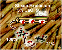 Graphical abstract: Mechanism of lignocellulose modification and enzyme disadsorption for complete biomass saccharification to maximize bioethanol yield in rapeseed stalks