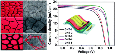 Graphical abstract: Flexible perovskite solar cells fabricated by a gradient heat treatment process