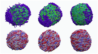 Graphical abstract: Effects of droplet size and surfactants on anchoring in liquid crystal nanodroplets