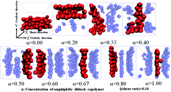 Graphical abstract: Molecular dynamics simulation of the electrical conductive network formation of polymer nanocomposites by utilizing diblock copolymer-mediated nanoparticles