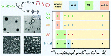 Graphical abstract: Dual stimuli-responsive nano-structure transition of three-arm branched amphiphilic polymers containing ferrocene (Fc) and azobenzene (Azo) moieties in aqueous solution