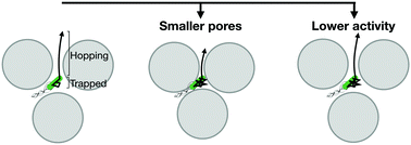 Graphical abstract: Confinement and activity regulate bacterial motion in porous media