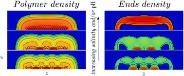Graphical abstract: Intramolecular micellization and nanopatterning in pH- and thermo-responsive molecular brushes