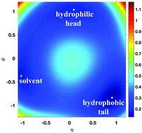 Graphical abstract: Pathways connecting two opposed bilayers with a fusion pore: a molecularly-informed phase field approach