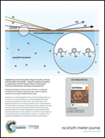 Graphical abstract: Inside back cover