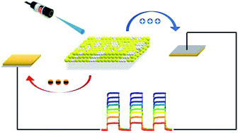 Graphical abstract: Enhanced performance of ZnO nanoparticle decorated all-inorganic CsPbBr3 quantum dot photodetectors