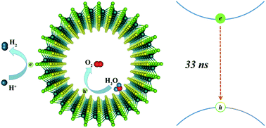 Graphical abstract: MoSSe nanotube: a promising photocatalyst with an extremely long carrier lifetime