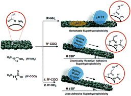 Graphical abstract: A biodegradable polymer-based common chemical avenue for optimizing switchable, chemically reactive and tunable adhesive superhydrophobicity