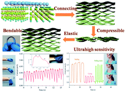 Graphical abstract: Biomass polymer-assisted fabrication of aerogels from MXenes with ultrahigh compression elasticity and pressure sensitivity