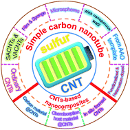 Graphical abstract: Carbon nanotube-based materials for lithium–sulfur batteries