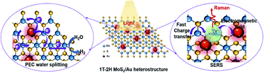 Graphical abstract: Building a lateral/vertical 1T-2H MoS2/Au heterostructure for enhanced photoelectrocatalysis and surface enhanced Raman scattering