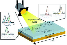 Graphical abstract: Stability of push–pull small molecule donors for organic photovoltaics: spectroscopic degradation of acceptor endcaps on benzo[1,2-b:4,5-b′]dithiophene cores