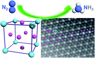 Graphical abstract: Tunable synthesis of multiply twinned intermetallic Pd3Pb nanowire networks toward efficient N2 to NH3 conversion