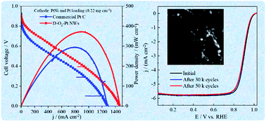 Graphical abstract: Highly stable one-dimensional Pt nanowires with modulated structural disorder towards the oxygen reduction reaction