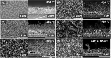 Graphical abstract: Effect of solid-H2S gas reactions on CZTSSe thin film growth and photovoltaic properties of a 12.62% efficiency device