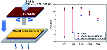 Graphical abstract: In situ formation of a 2D/3D heterostructure for efficient and stable CsPbI2Br solar cells