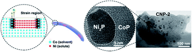 Graphical abstract: Invigorating the catalytic performance of CoP through interfacial engineering by Ni2P precipitation