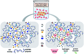 Graphical abstract: Infiltrating molecular gatekeepers with coexisting molecular solubility and 3D-intrinsic porosity into a microporous polymer scaffold for gas separation
