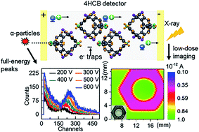 Graphical abstract: Purely organic 4HCB single crystals exhibiting high hole mobility for direct detection of ultralow-dose X-radiation