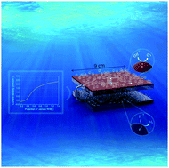 Graphical abstract: Large area high-performance bismuth vanadate photoanode for efficient solar water splitting