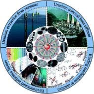 Graphical abstract: Amidoxime-based materials for uranium recovery and removal