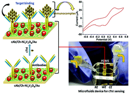 Graphical abstract: A hollow-nanosphere-based microfluidic biosensor for biomonitoring of cardiac troponin I