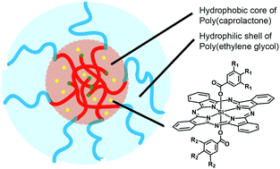 Graphical abstract: Amphiphilic phthalocyanines in polymeric micelles: a supramolecular approach toward efficient third-generation photosensitizers