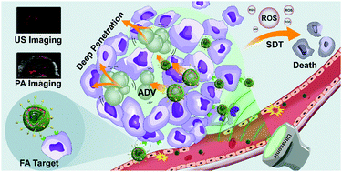 Graphical abstract: Dual ultrasound-activatable nanodroplets for highly-penetrative and efficient ovarian cancer theranostics