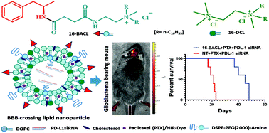 Graphical abstract: Amphetamine decorated cationic lipid nanoparticles cross the blood–brain barrier: therapeutic promise for combating glioblastoma