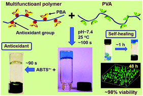 Graphical abstract: An antioxidant self-healing hydrogel for 3D cell cultures