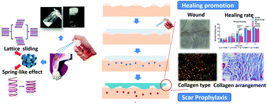 Graphical abstract: A pirfenidone loaded spray dressing based on lyotropic liquid crystals for deep partial thickness burn treatment: healing promotion and scar prophylaxis