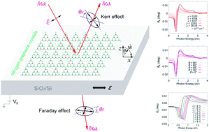 Graphical abstract: Multifield-tunable magneto-optical effects in electron- and hole-doped nitrogen–graphene crystals