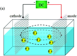 Graphical abstract: Controlled synthesis and enhanced photoelectro-catalytic activity of a 3D TiO2 nanotube array/TiO2 nanoparticle heterojunction using a combined dielectrophoresis/sol–gel method