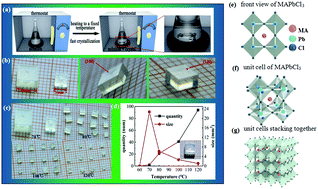 Graphical abstract: A high performance perovskite CH3NH3PbCl3 single crystal photodetector: benefiting from an evolutionary preparation process