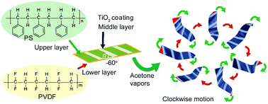 Graphical abstract: Controllable kinematics of soft polymer actuators induced by interfacial patterning