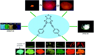 Graphical abstract: Butterfly-shaped π-extended benzothiadiazoles as promising emitting materials for white OLEDs