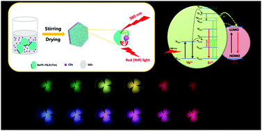 Graphical abstract: Construction of NaYF4:Yb,Er(Tm)@CDs composites for enhancing red and NIR upconversion emission