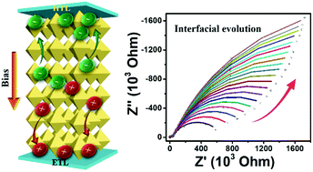Graphical abstract: Soft interfaces within hybrid perovskite solar cells: real-time dynamic tracking of interfacial electrical property evolution by EIS