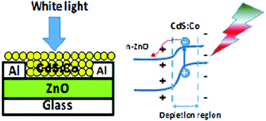 Graphical abstract: Selective near-infrared (NIR) photodetectors fabricated with colloidal CdS:Co quantum dots