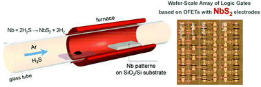 Graphical abstract: Wafer-scale and patternable synthesis of NbS2 for electrodes of organic transistors and logic gates