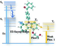 Graphical abstract: A combinatory approach towards the design of organic polymer luminescent materials