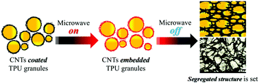 Graphical abstract: Highly stretchable electromagnetic interference (EMI) shielding segregated polyurethane/carbon nanotube composites fabricated by microwave selective sintering
