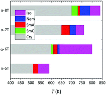 Graphical abstract: Molecular dynamics simulation of α-unsubstituted oligo-thiophenes: dependence of their high-temperature liquid-crystalline phase behaviour on molecular length
