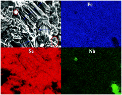 Graphical abstract: Enhancement of superconductivity in FeNbxSe0.95 by hole carrier doping