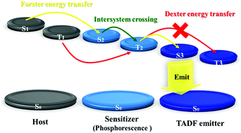 Graphical abstract: Phosphor sensitized thermally activated delayed fluorescence organic light-emitting diodes with ideal deep blue device performances